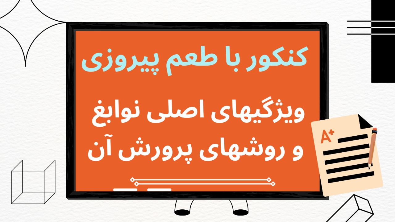 آمادگی آزمون زبان تافل دکتری